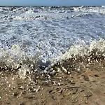 In Mariakerke With Stunning Sea Views 公寓