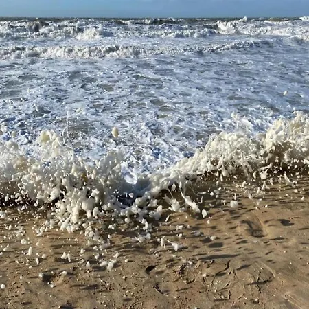 In Mariakerke With Stunning Sea Views דירה